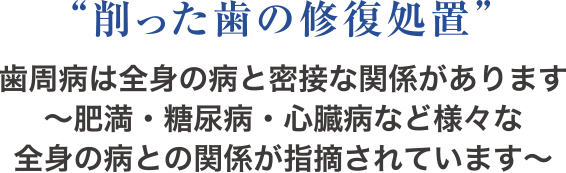“削った歯の修復処置”歯周病は全身の病と密接な関係があります〜肥満・糖尿病・心臓病など様々な全身の病との関係が指摘されています〜