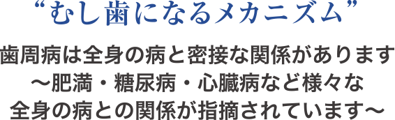 “むし歯になるメカニズム”歯周病は全身の病と密接な関係があります 〜肥満・糖尿病・心臓病など様々な 全身の病との関係が指摘されています〜