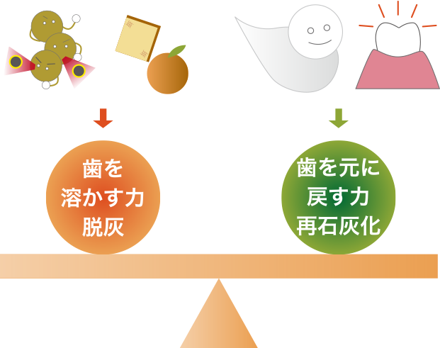 歯を溶かす力脱灰 歯を元に戻す力再石灰化