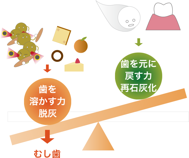 歯を溶かす力脱灰 むし歯 歯を元に戻す力再石灰化