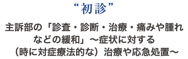 “初診” 主訴部の「診査・診断・治療・痛みや腫れなどの緩和」～症状に対する（時に対症療法的な）治療や応急処置～