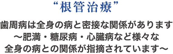 “根管治療”歯周病は全身の病と密接な関係があります〜肥満・糖尿病・心臓病など様々な全身の病との関係が指摘されています〜